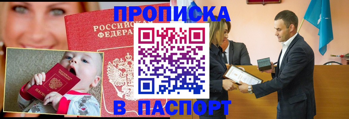 прописка поиск в Бабаево